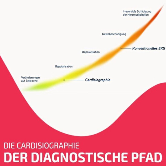 NEU: Screening Tool für Ihre Herzgesundheit